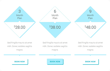 A blue and white pricing table with three different types of price plans.